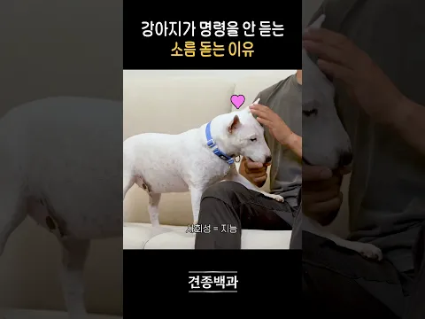 일부러 맹한 척 한 거임?