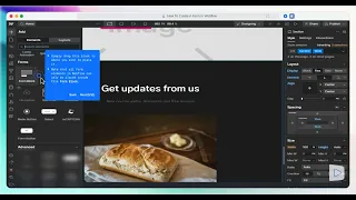 How to Create a Form in Webflow and Customize Fields and Settings Step-by-Step