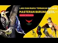 Lagu LAGU \u0026 IRAMA TEMBAKAN SELARAS❗️(Masteran Burung Kecil) vol.4