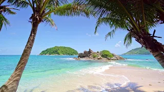Tropical Beach With Waves Crashing On Sandy Shore White Noise For Meditation Sleep 4K UHD 
