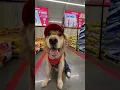 You re looking at newest employee