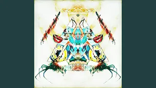 indeterminacy original mix 