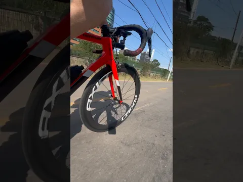 Ciclo Pinheiros vive