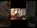 the Culture Musical  song // African music video|| best song || #africa #african