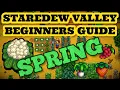Stardew Valley Ultimate beginners Guide To Spring Beginner Tips and Tricks EP1