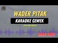 Download Lagu WADER PITAK - ( KARAOKE RAMPAK CEWEK ) Dian Anic Tarling Lawas