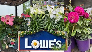 LOWES BEST NEW PLANTS-ARRIVALS FOR HOW TO MAKE YOUR GARDEN BEAUTIFUL