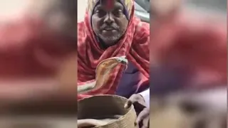                     دندنها