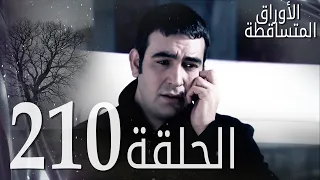 الأوراق المتساقطة الحلقة 210 كاملة مدبلجة بالعربية Leaf Cast 