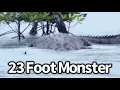 Download Lagu Giant Crocodile Spotted in India