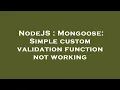 NodeJS Mongoose Simple custom validation function not working