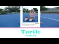 TWICE - Turtle (거북이) ~ English Cover, Lyric Video