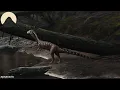 The Evolution of Crocodiles