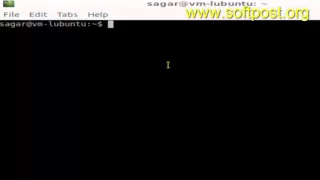 How to know if Java is installed in Arch Linux