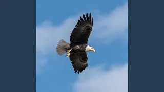 bertahan meski sakit