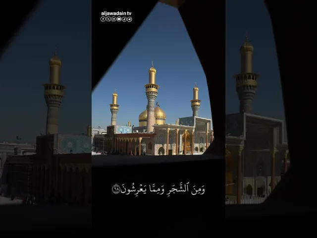 ⁣﴿ وَأَوْحَىٰ رَبُّكَ إِلَى النَّحْلِ أَنِ اتّخِذِي مِن الجِبال بيوتا وَمِنَ الشَّجَرِ ومما يعرِشُون﴾