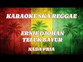 Lagu Karaoke ska reggae🎺ernie djohan - teluk bayur