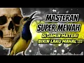 Download Lagu MASTERAN SOGON‼️ SUPER MEWAH DIJAMIN LAKU MAHAL #sogon #sogongacor #sogokontong