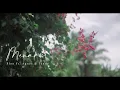 Download Lagu Floo Ft Agnes \u0026 Tenny Clemenstine - Menari (Official Music Video)