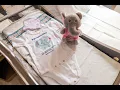 Newly Renovated Mother-Baby Rooms