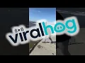 Download Lagu Catching a Net Full of Herring in Seconds || ViralHog