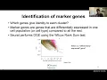 W20 Single-Cell RNA-seq with R - Day 3