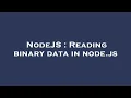 NodeJS Reading binary data in node js