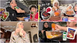                                                                                                      دندنها