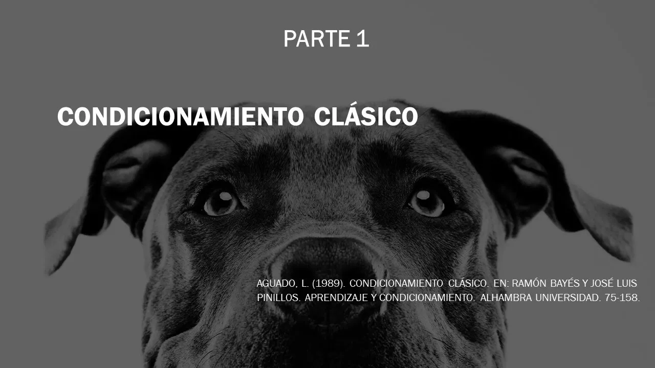 Condicionamiento clásico: procedimientos excitatorios e inhibitorios.