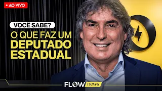 O QUE FAZ UM DEPUTADO ESTADUAL?