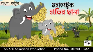 মহাপেটুক হাতির ছানা  I Bangla Cartoon | Thakurmar Jhuli jemon | AFX Animation