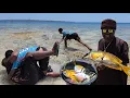 Download Lagu Demi sang Pacar Bule ini Jatuh bangun saat berburu Ikan di Alam Liar 