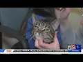 Memphis Animal Services offers 10 election adoption with I Voted sticker