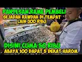 Download Lagu TOKO TERMURAH DI DEKAT HAROM SEJADAH RAWDAH CUMA 50 RIBU DITEMPAT LAIN 300 RIBUAN