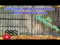 Download Lagu Puter Pelung Suara Seruling Bambu New Palapa Super Kwok Tajam