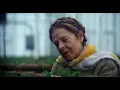 Cat Stevens - Where Do the Children Play? (Harold and Maude Soundtrack)