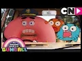 Download Lagu Gumball | The Law | Cartoon Network