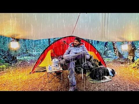Download MP3 CAMPING in RAIN - TENT - Dog