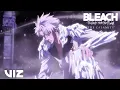 Toshiro Hitsugaya s Complete Bankai Reveal BLEACH Thousand-Year Blood War - The Calamity VIZ