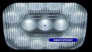 Video: LED werklamp magneetvoet 1000lm - 12W - 12-24v | WF-1012MM80
