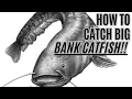 HOW TO Catch BIG Bank Catfish - THE Boatless Catfishing Guide