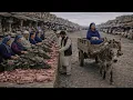 Lagu 🇦🇫 Afghanistan’s Dangerous Market | Real Life of Poor People | 4K Walking Tour