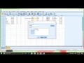 Data and Variable View in SPSS