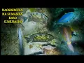 Download Lagu EP 439: NAGSISIMULA NA SANA SUMAMPA KASO SUMUBASKO