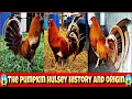 The pumpkin hulsey history and origin