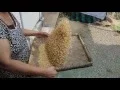 Winnowing