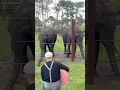 Lagu Tidak menyangka akan seperti ini 🐘🐘🥰