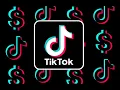 Bytedance Tiktok Experienced Software Engineer Interview Intro