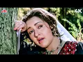 Download Lagu Sad Song: Chitthiye Ni Dard Firaaq Valiye 4K | Lata Mangeshkar | Henna |Rishi Kapoor, Zeba Bakhtiyar