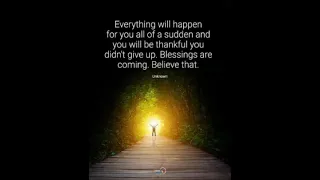 mokis connection paradise